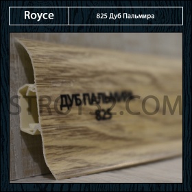 Дуб Пальмира 825
